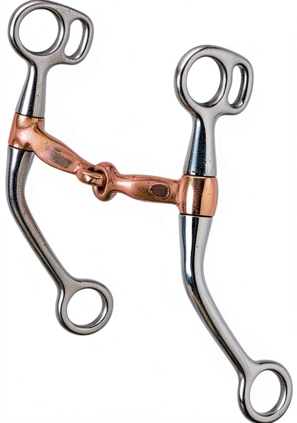 Professional Equine Western Metal Bit 5.5 Mouth-1
